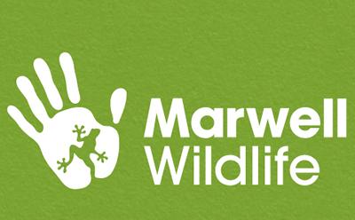 Marwell Wildlife